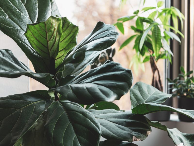 What Soil Health Taught Me About Learning&nbsp;Design